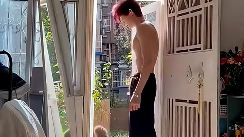 Funny cats and dogs #02