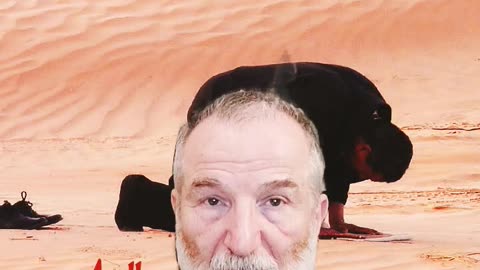 Quelle pire malédiction pour une femme que d'être musulmane -817