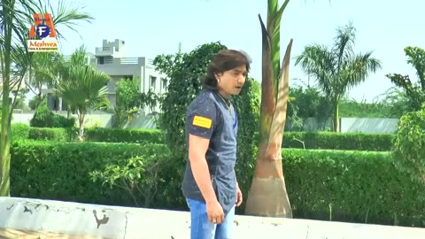 gujarati song,movie,bhajan,aarti,hollywood movies hindi dubbed,hollywood credit go to real owners