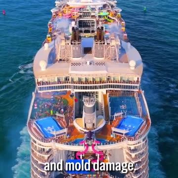 Would YOU Sleep Here on a Cruise Ship?!