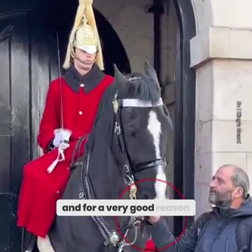 Why Do King's Guards Snap When You Get Too Close? The Surprising Reason Explained!
