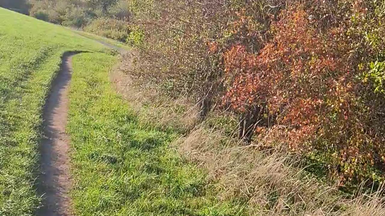 Proceeding up the Hill