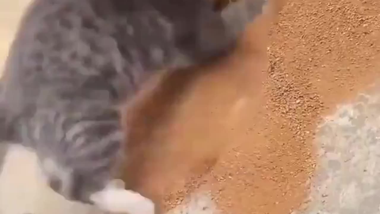 You're Not The Boss Of Me