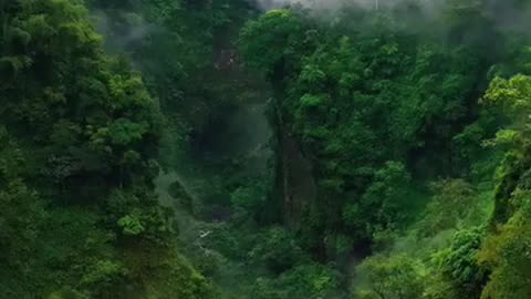 This is very beautiful place visit | Once visit here you want visit again here