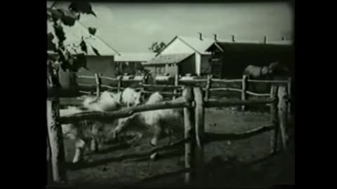 Gazdasági Vasutak - 1957.