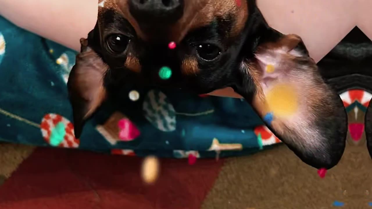 Hello November!🥰😘