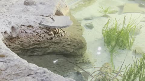 Greensboro science center 2