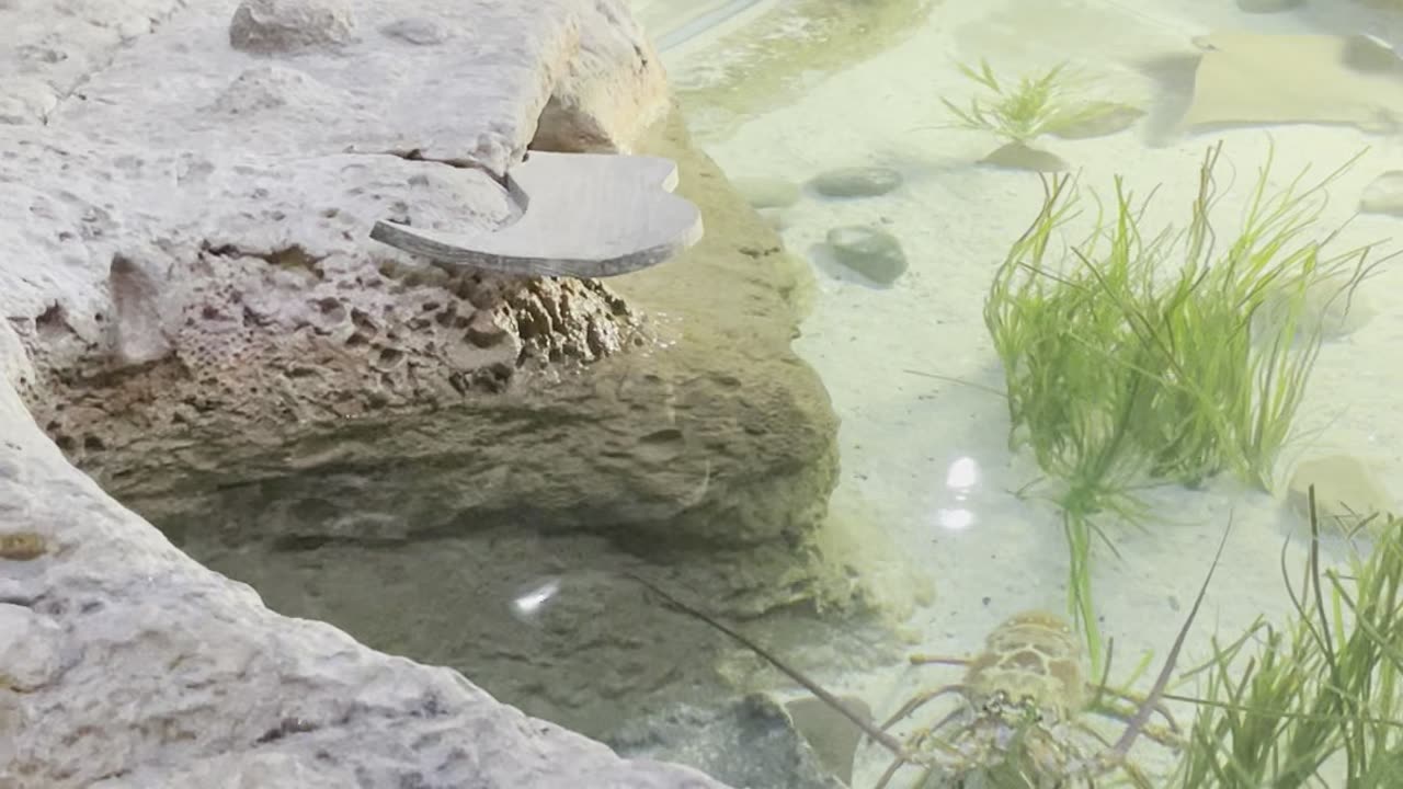 Greensboro science center 2