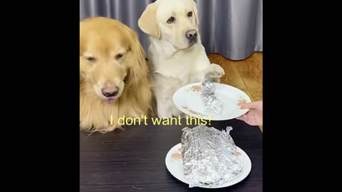 Where's my chicken?
