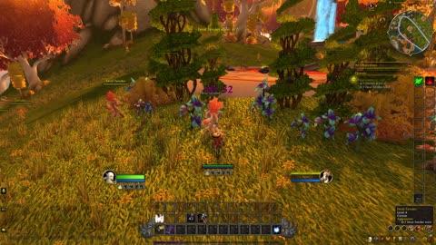 World of Warcraft [No Mic]