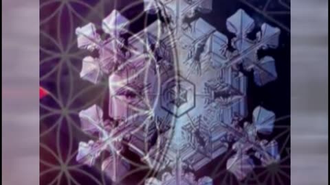 01.178.Toshiro Snow Flower.(PT-BR)