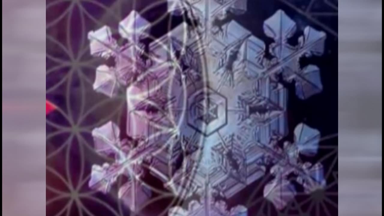 01.178.Toshiro Snow Flower.(PT-BR)