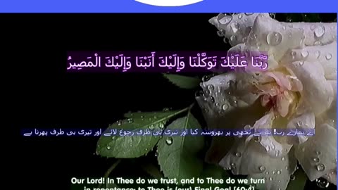 Top 40 Rabbana Duas Every Muslim Should Know (dua no 38) #shorts