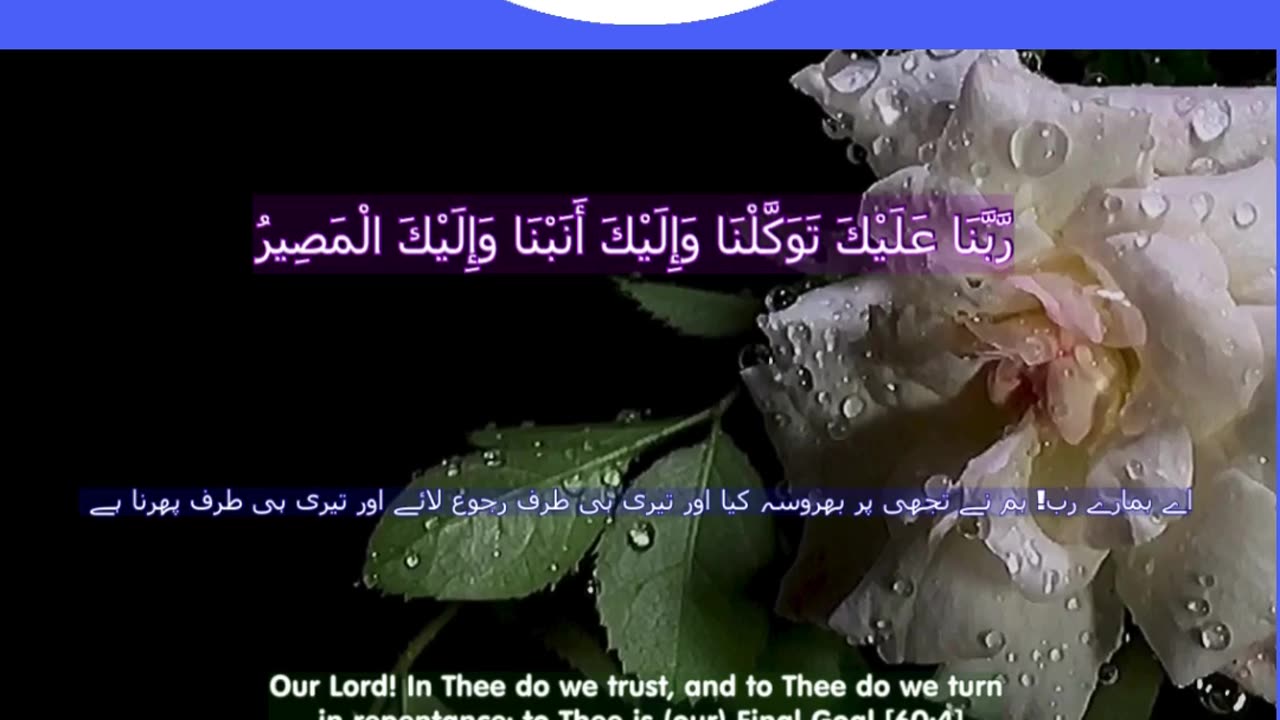 Top 40 Rabbana Duas Every Muslim Should Know (dua no 38) #shorts