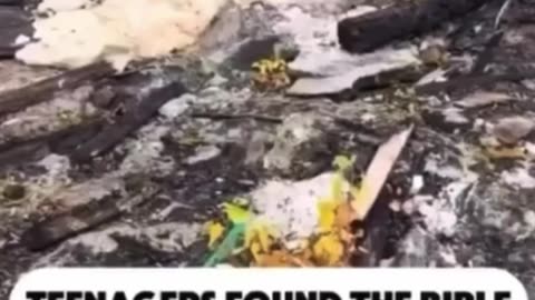 Teenagers rummaging through the devastation in California found something incredible…