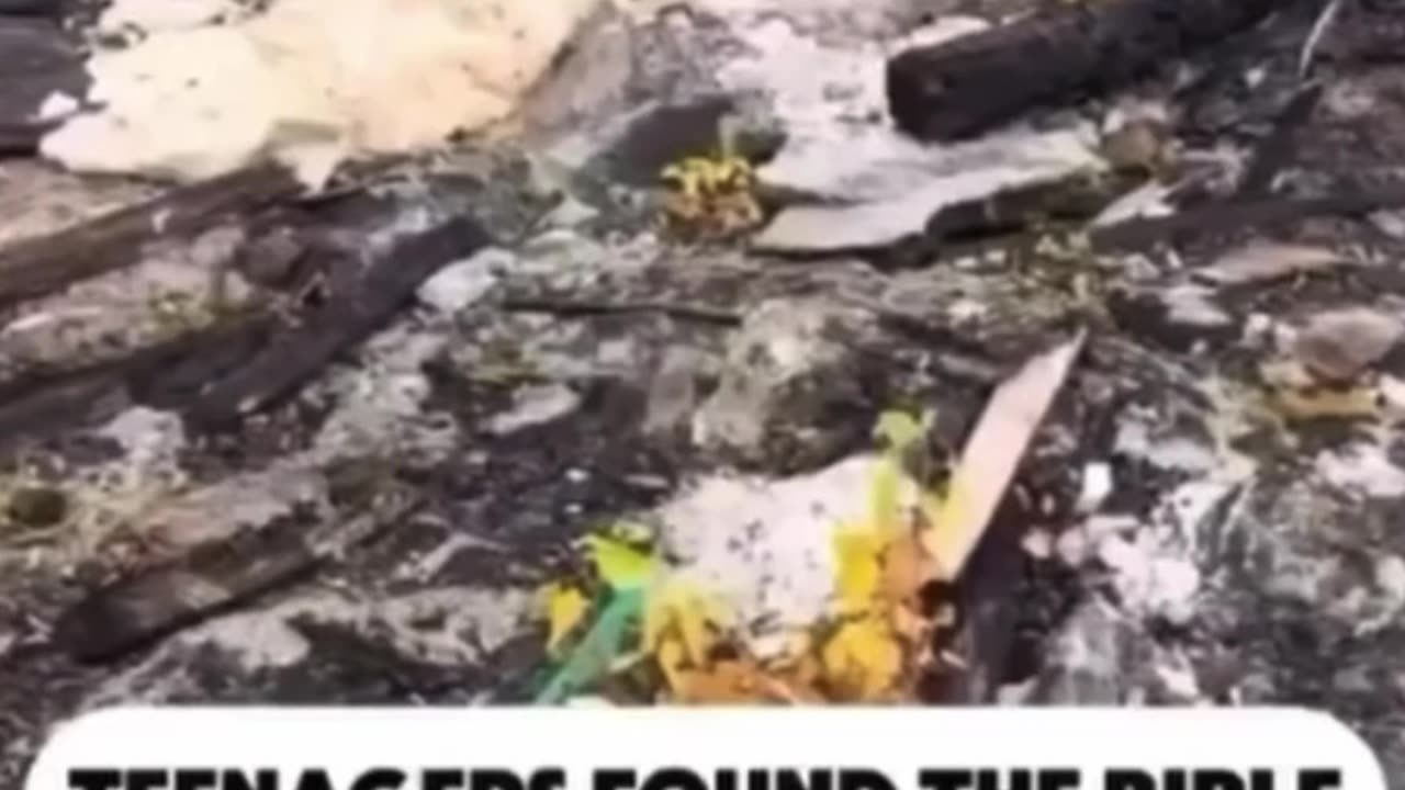 Teenagers rummaging through the devastation in California found something incredible…