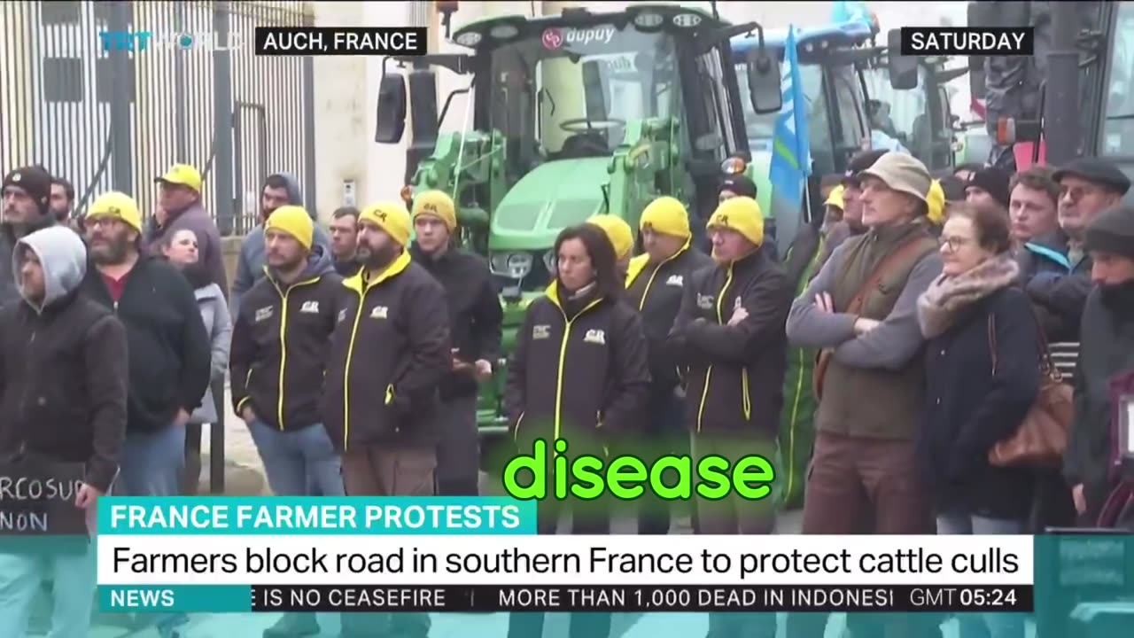 Farmers’ Protests Erupt in Southern France Over Ordered Cattle Slaughter