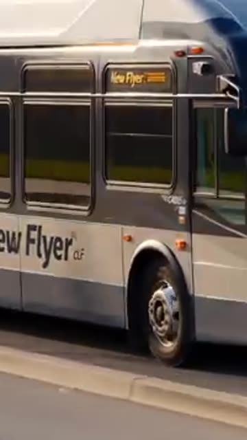New Flyer C40LF Citybus Grok Video Ai
