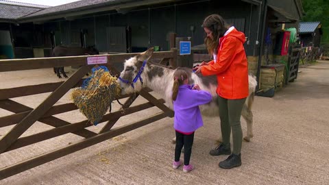 Mi Mascota y Yo - T03E13 - William D, el Burro