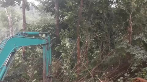 Inside the Beast: 1-Min Excavator Extreme Mountain Cleanup! (USA)