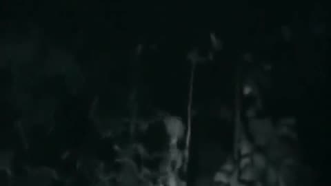 Alien Grey Filmed Vocalizing(1980s, Peruvian Jungle)