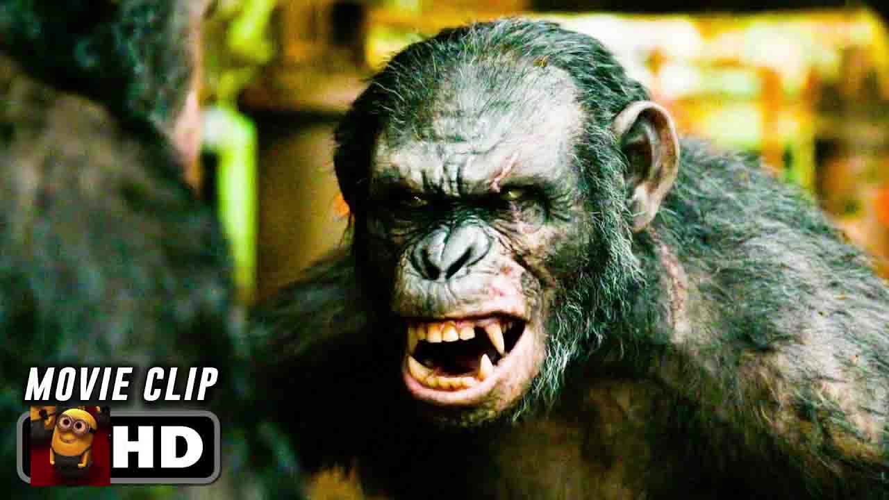 You Let Them Stay_ Scene _ DAWN OF THE PLANET OF THE APES (2014) Movie CLIP HD