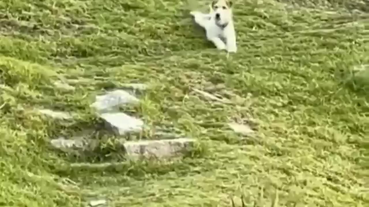 Mission impossible.. 😅