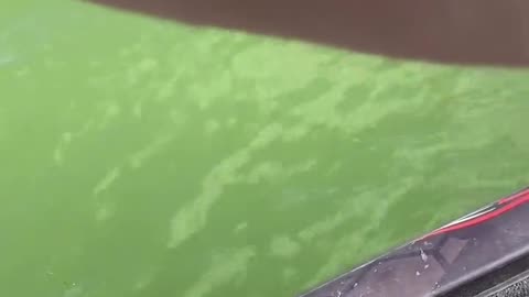 😮🦅 A Hummingbird Lands On This Man's Hand After He Hooks A Fish! | FeedMyCuriosity