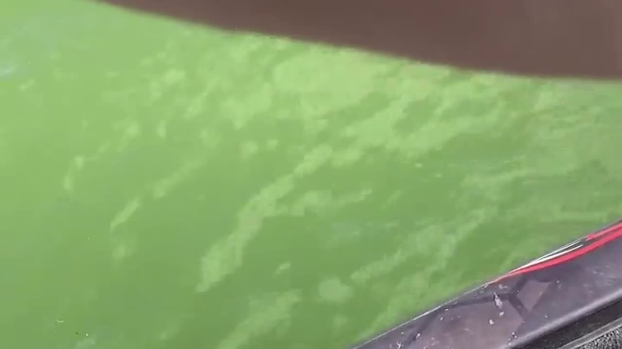 😮🦅 A Hummingbird Lands On This Man's Hand After He Hooks A Fish! | FeedMyCuriosity