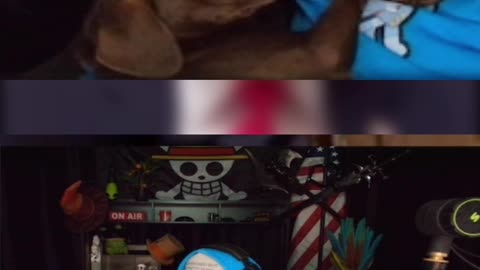 StyloIRL's Dog Has a Wild Reaction!