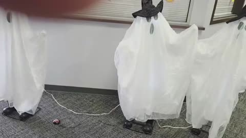 THE GHOSTS