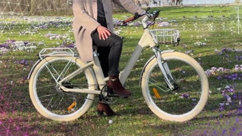 PVY AIR 28 PRO Electric Bike 250W Motor 36V 9.6Ah Battery Electric Bike