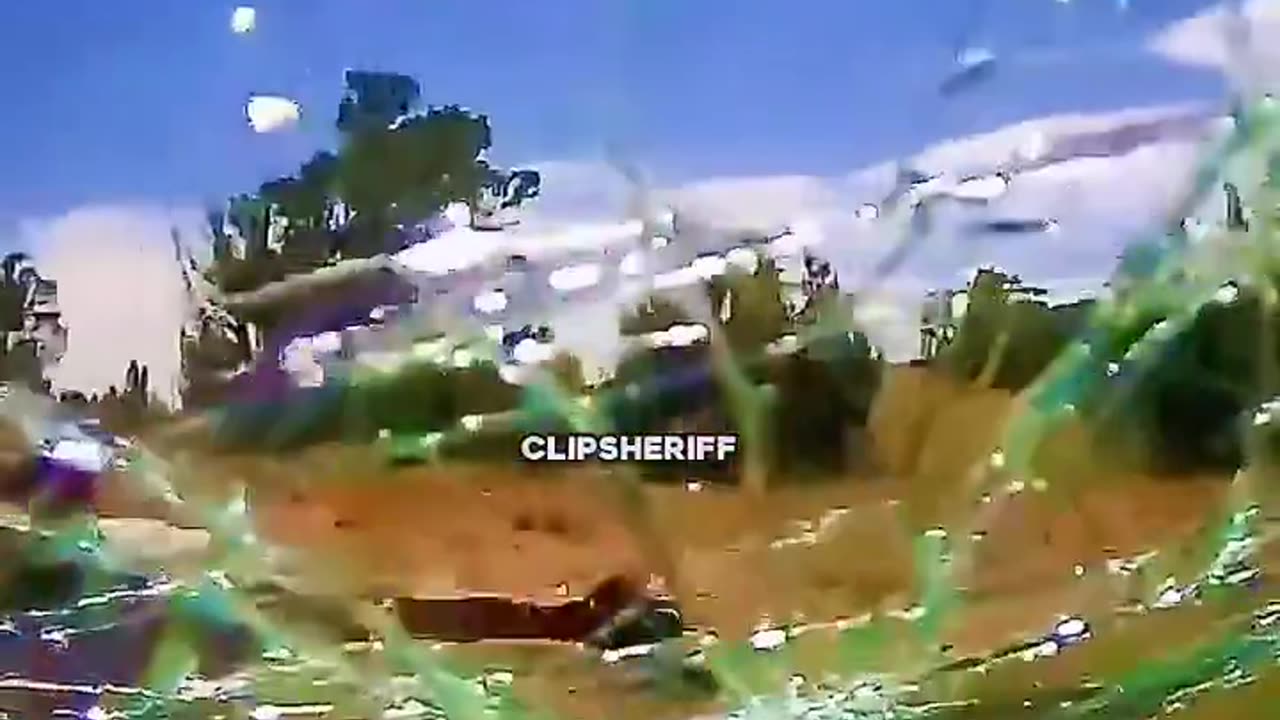 Female Police Endanger Everyone