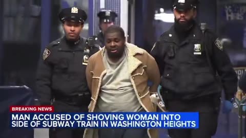 Man Arrested for Pushing Random Woman into Side of Train in NYC Subway