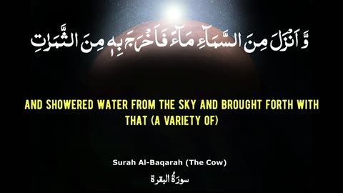 Most Beautiful Quran Recitation I Chapter 02 I Surah Al-Baqarah Verse 22-23