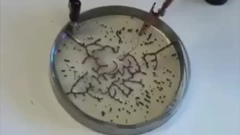 NANOPARTICLES IN THE OPEN