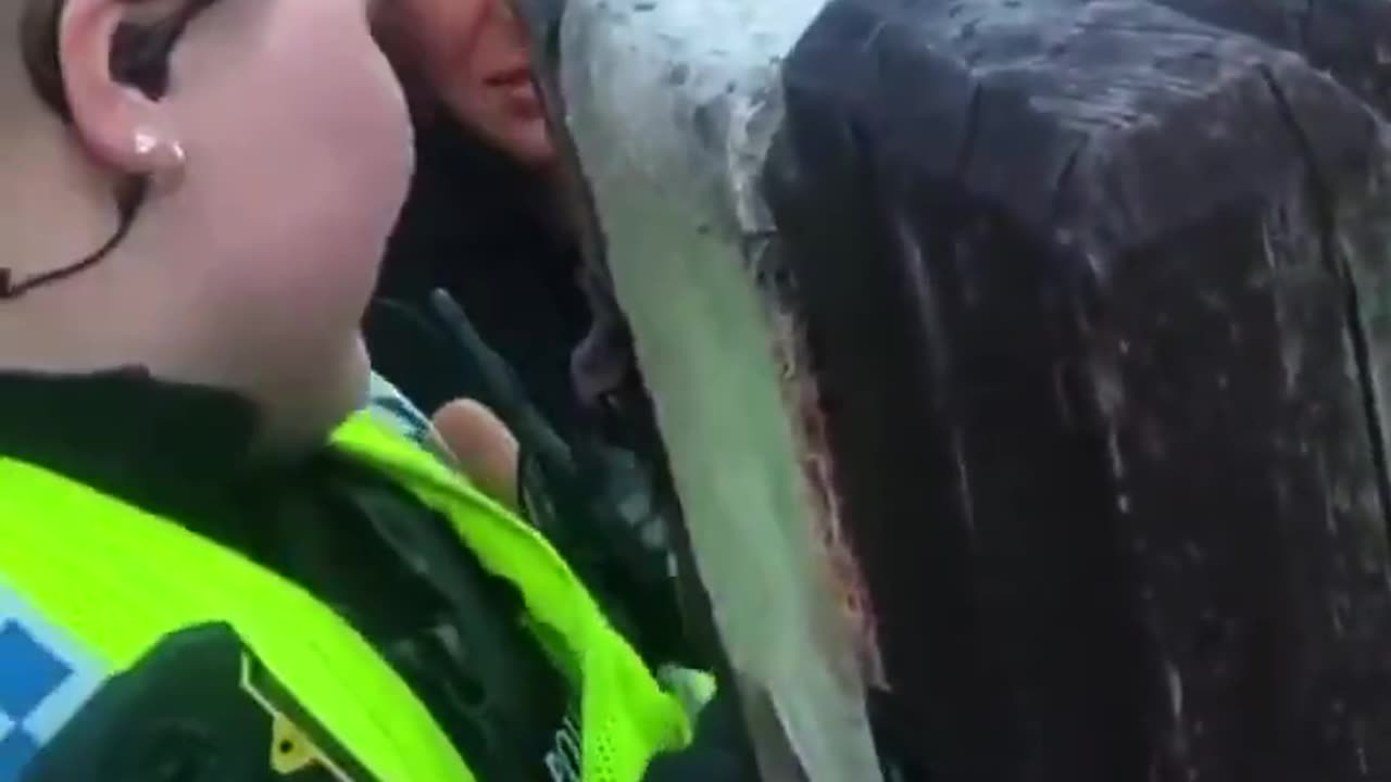 CAN SOMEBODY EXPLAIN__