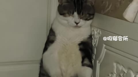gently wake the sleeping soul