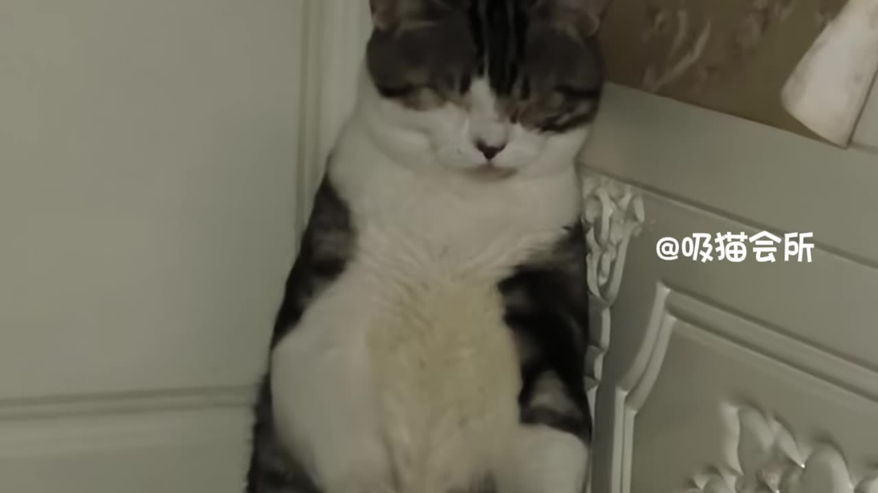 gently wake the sleeping soul