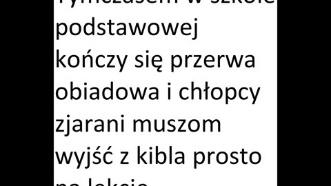 Bloki Kultury odcinek 172 Łysy paloncy lolka