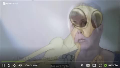 mary (song 0.05 perception)