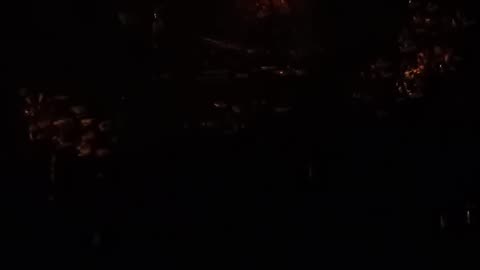 26.11.2025 Party in the Park, Kuranda