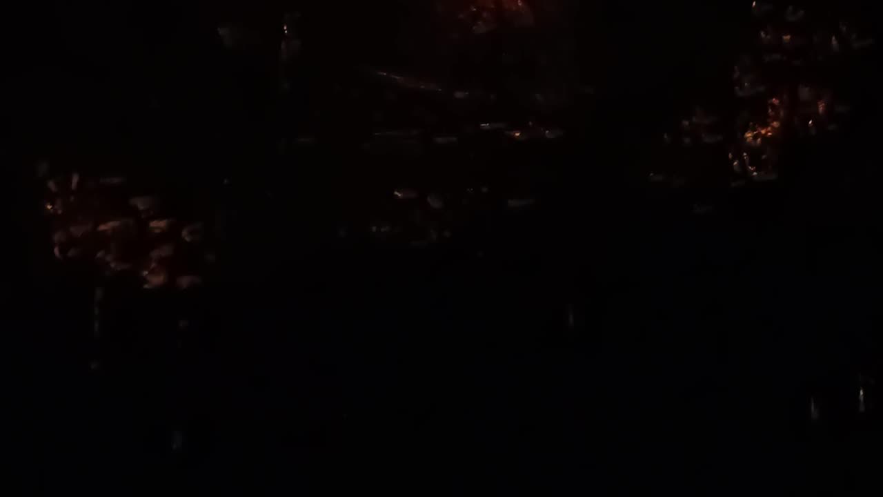 26.11.2025 Party in the Park, Kuranda