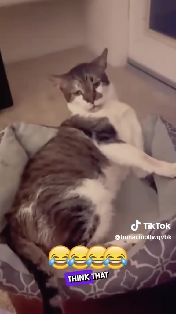 SILLINESS THURSDAY 11/13/25