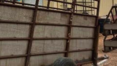 Dealer Spotlight: Consumer's Supply COOP