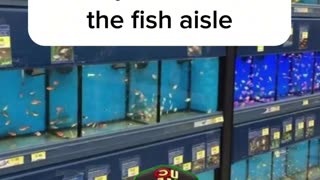 Does Walmart have a fish aisle?