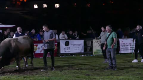 Zećo od Batara vs Jablan od Kočića Bronzani Majdan 2025