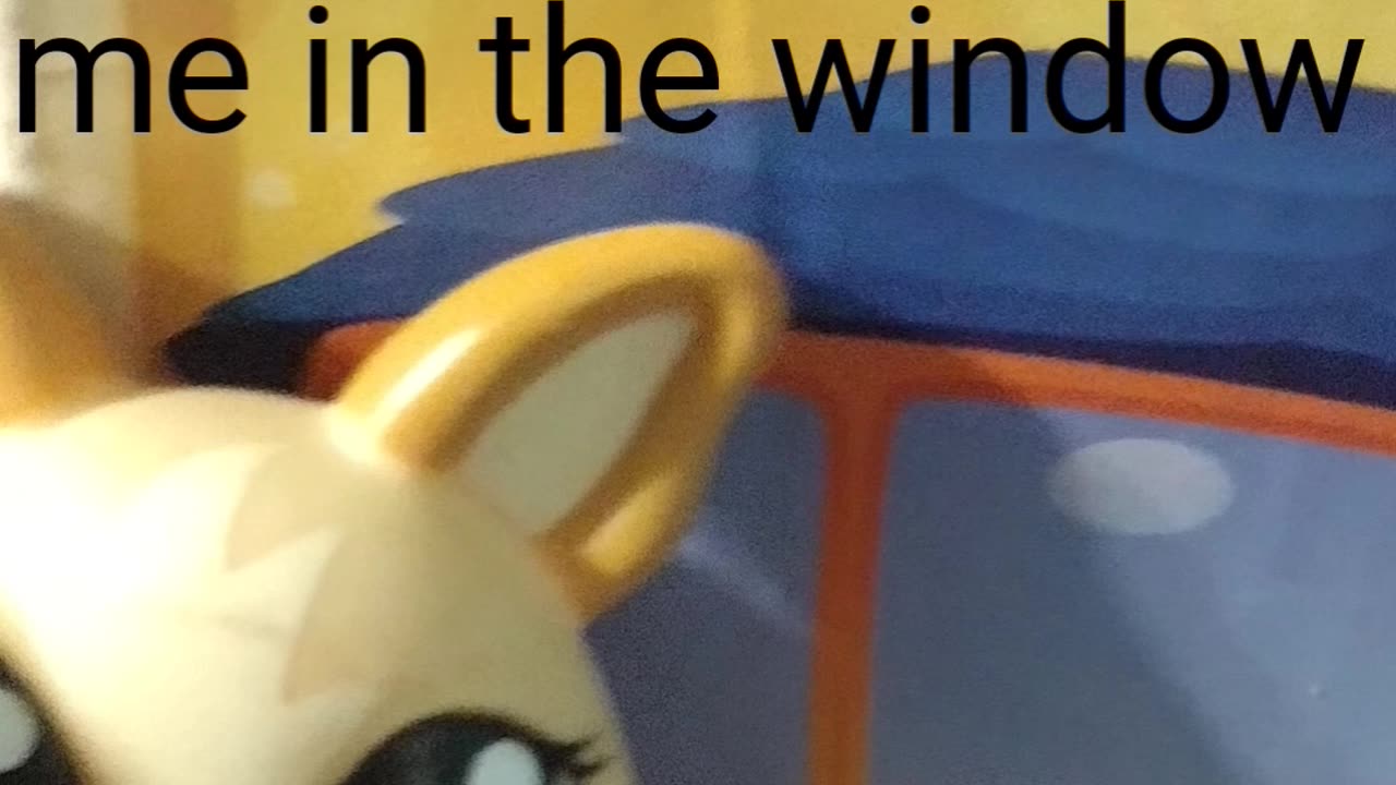 LPS memes and trivia reupload