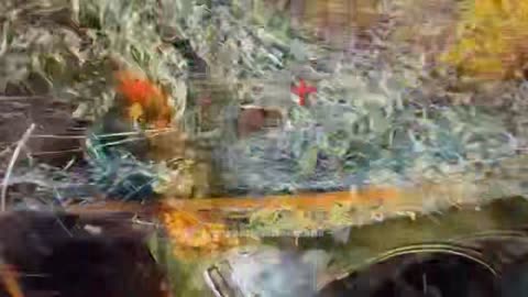 Ukraine Russia war combat/related footage 12/7/2025