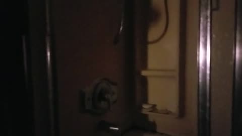 The Raging Predvidians and Barking Puppies at it Agian 😂😂